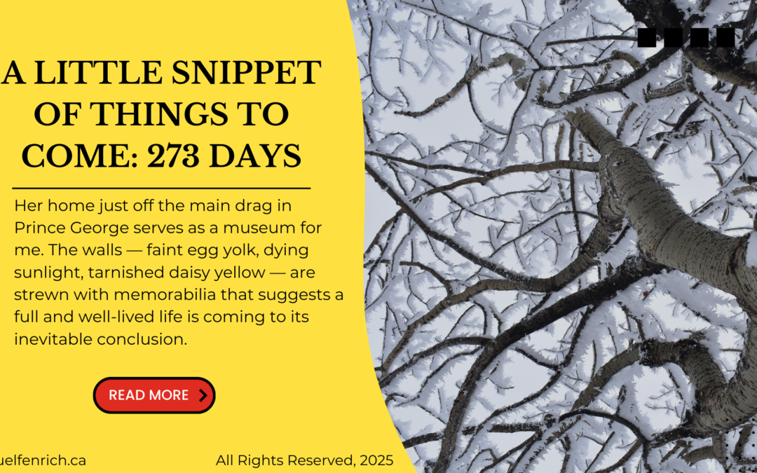 [ID. On right, a photo of snow covered trees. On left, black text over a yellow backround reads 'A little snippet of thigns to come 273 days.' Below, smaller text descibe this first paragraph of the blog post. Below, a red button says 'read more.'